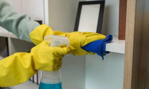 the wife is cleaning her husband home office, cleanup the room, wearing rubber glove to protect her hands, the housekeeper is cleaning the house, tidy up
