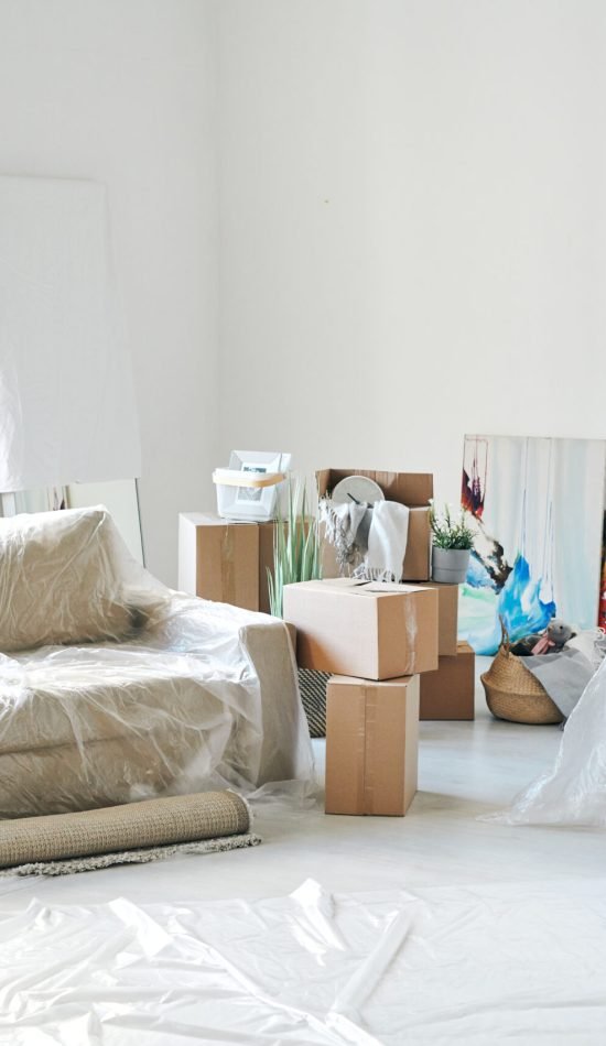 Room of new flat or house with couch, armchair, rolled rug, packed boxes, paintings, domestic plants, step ladder and other stuff
